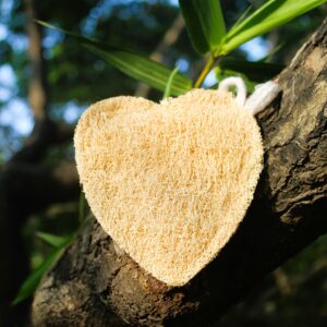 Dinya Organics 57 Dinya heart loofah