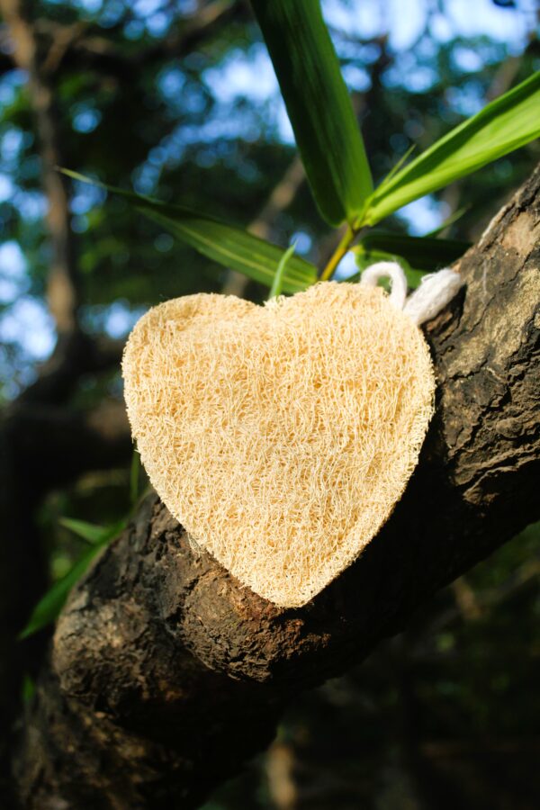 Dinya heart loofah