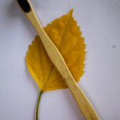 Dinya nano toothbrush