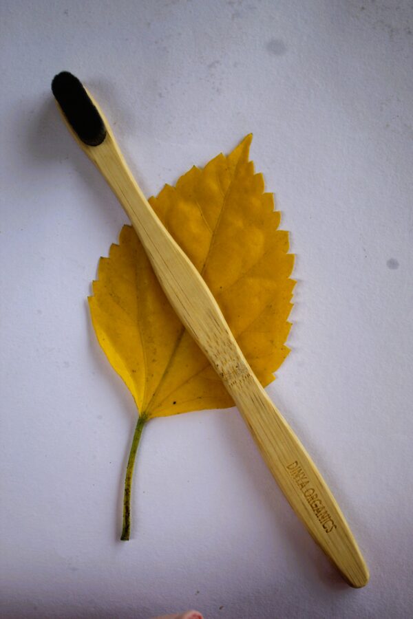 Dinya nano toothbrush