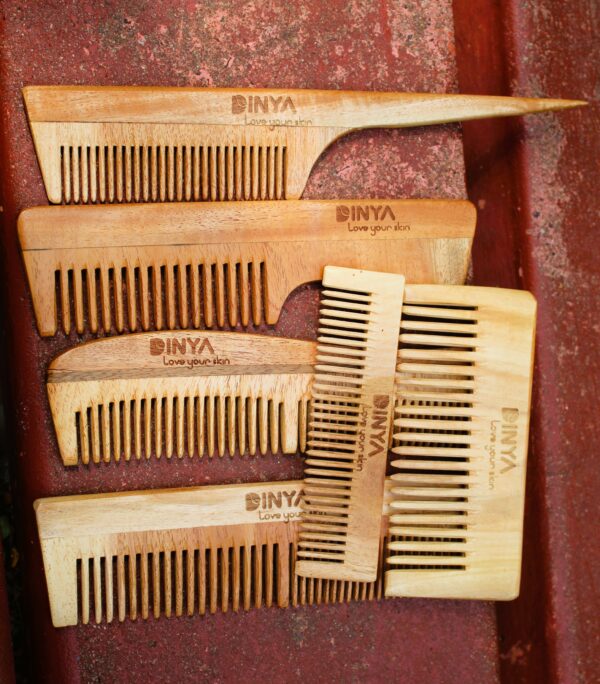 Dinya pack of 6 neem comb