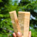Dinya pocket size neem comb