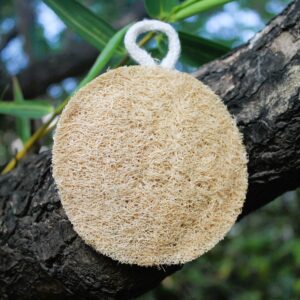 Dinya Organics 47 Dinya pintail comb and loofah