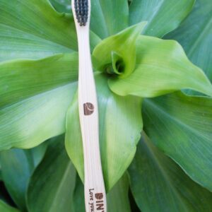 Dinya Organics 77 Dinya toothbrush