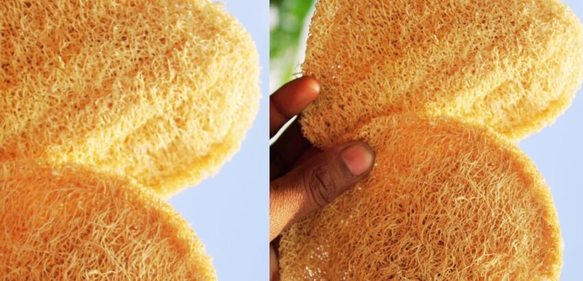 Dinya natural loofah