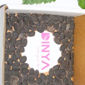 Dinya Seed