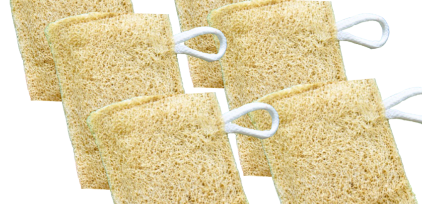 Dinya Natural Kitchen Scrubber – Pack of 6